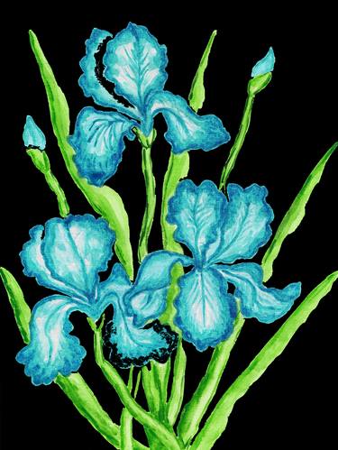 Three blue irises on black thumb