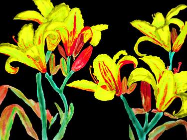 Yellow-red lilies on black thumb