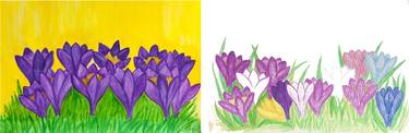 Two paintings with violet and multicolor crocuses thumb