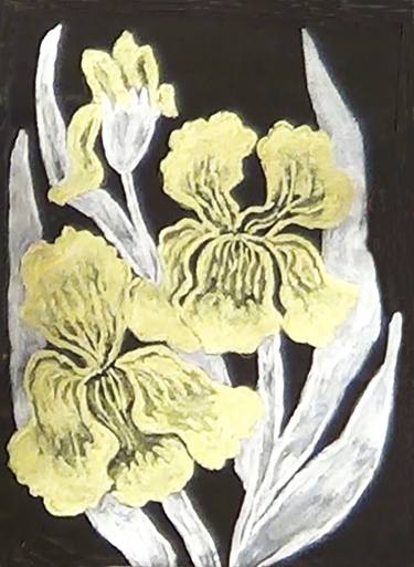 Golden irises with silver leaves on black background thumb