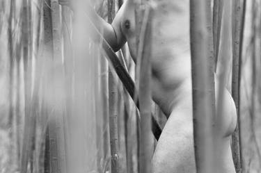 Original Abstract Nude Photography by Linda Gunde