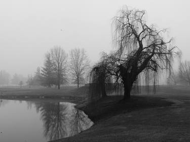 black and white winter reflection - Limited Edition 1 of 5 thumb