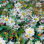Collection International Spotlight: South Korea