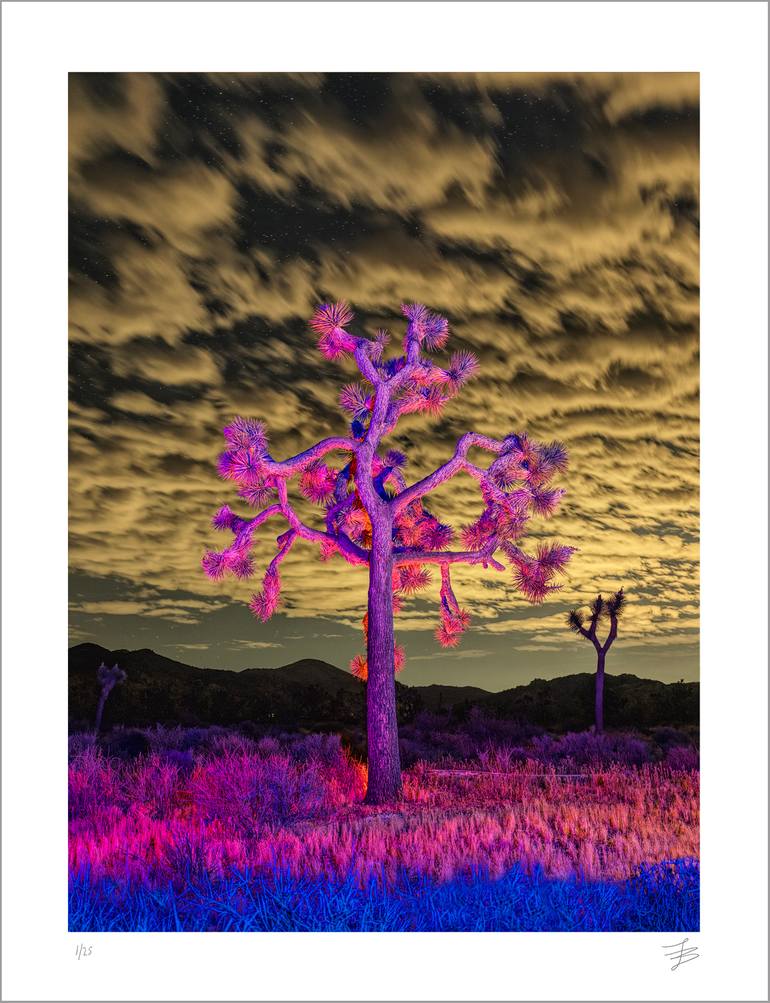 Original Landscape Photography by Ivan Butorac | Contemporary Art on Paper | Until the End of the World- Joshua Tree Nightscape