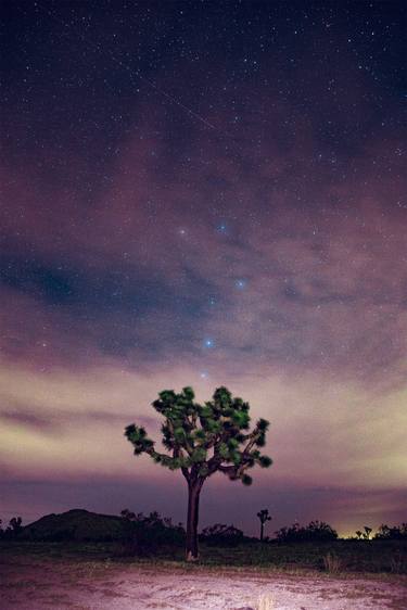 Meteor Shower Over Mojave Desert thumb