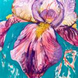 Robes of Iris by Michelle Neifert