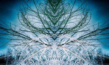 Print of Abstract Fantasy Photography by John Williams