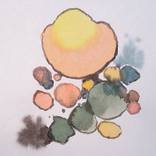 Collection Petals