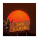 Looking for Paradise by Fei Alexeli