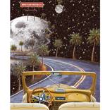 Drive it like you stole it by Fei Alexeli