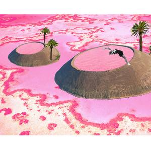 Collection Digital Escapism