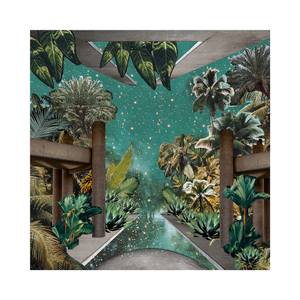 Collection Earthly Delights