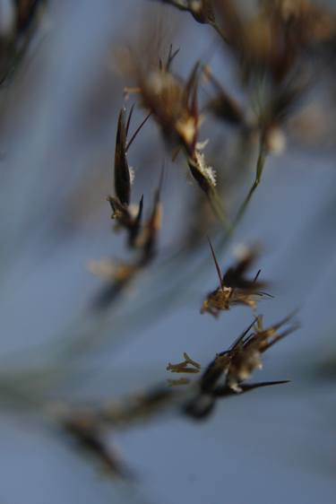 Print of Abstract Photography by Maciej Budny