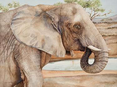 Original Realism Animal Paintings by Gayle Mahoney