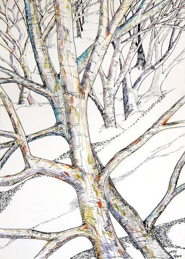 Print of Realism Tree Drawings by kah wah tan