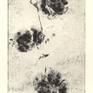view additional image 1