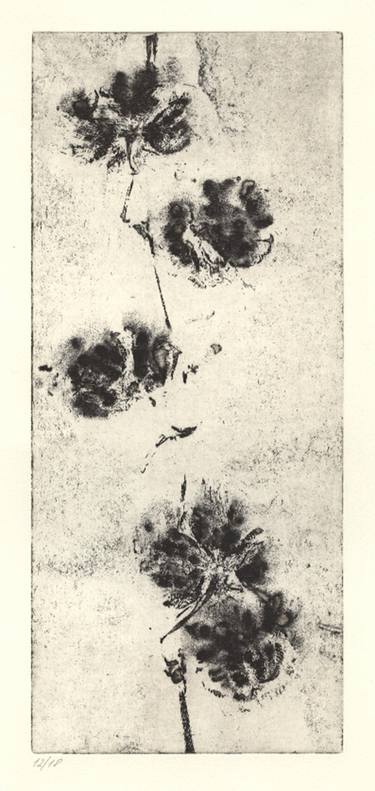 Original Botanic Printmaking by Olga-Maria Klassen