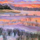 Sunrise And Grasses by Nikki Wheeler