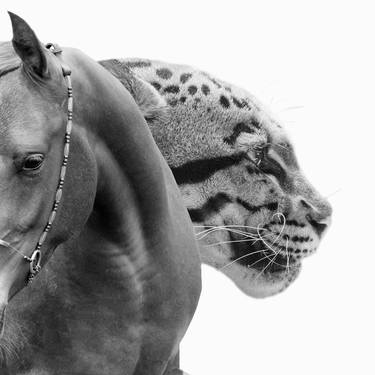 Horse & tiger thumb