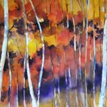 Wood in autumn by Alessandro Andreuccetti