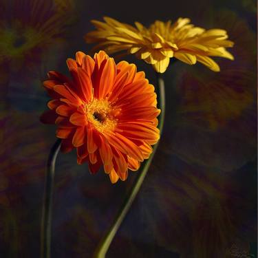 Original Floral Photography by Alla Simutina