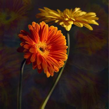 Original Fine Art Floral Photography by Alla Simutina