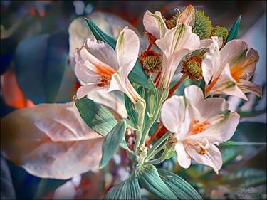 Original Fine Art Floral Photography by Alla Simutina