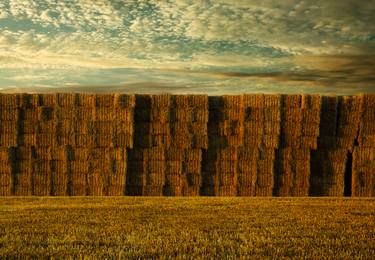 Hay Bales, Keyhaven - Limited Edition 1 of 8 thumb