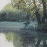 A hazy morning on the banks of a pond in the woods