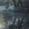 A hazy morning on the banks of a pond in the woods