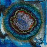 Sliced Evolution by Chris Boughton