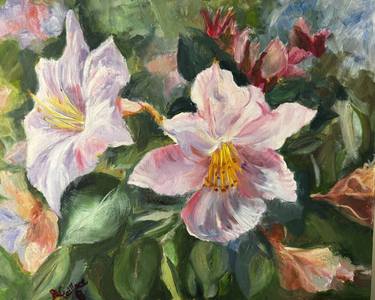Original Art Nouveau Botanic Paintings by Ann Faillace