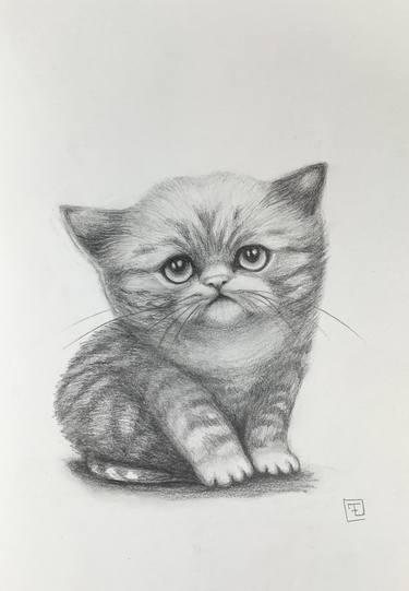 Original Contemporary Cats Drawings by Eva Fialka