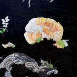 Multiple Mushrooms by Lisa Goesling