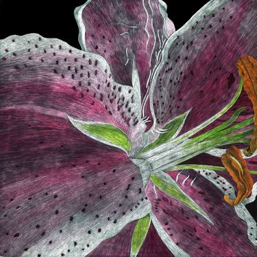 Original Abstract Botanic Drawings by Lisa Goesling