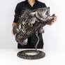 Sea bass fish metal sculpture art has made from recycled scrap metal or unusable steel.