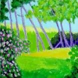 Collection Landscapes