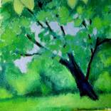 Collection Landscapes