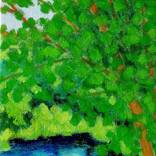 Collection Landscapes