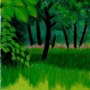 Collection Landscapes