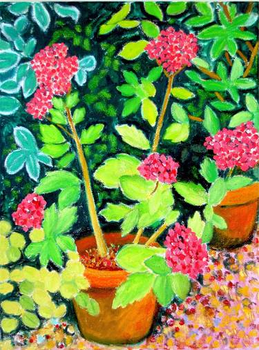 Original Garden Paintings by Grahame Ashcroft