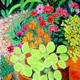 Collection Gardens