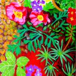 Collection Gardens