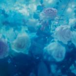 InBlue No1- Limited Edition 1 of 2 by Misha Pipercic