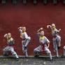 Collection Little Shaolin Monk