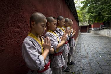 Little Shaolin Monk #26 thumb