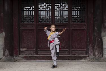 Little Shaolin Monks #16 thumb