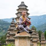 Collection Debuting in Chicago