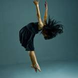 Collection Minimalist Works