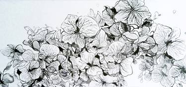 Original Illustration Floral Drawings by Jiaying Hu